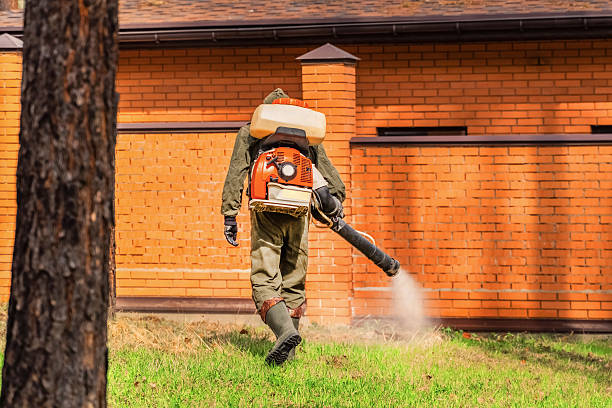 Bed Bug Clearance Verification and Documentation in Waimea